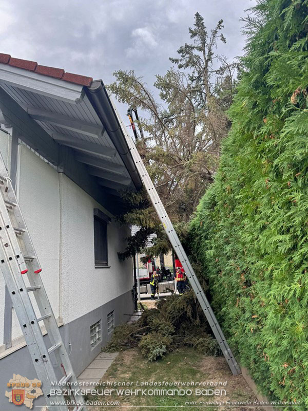 20260829_20260829_N�chtlicher Sturm sorgte f�r Feuerwehreins�tze - Foto: FF Baden Weikersdorf