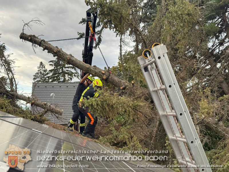 20260829_20260829_N�chtlicher Sturm sorgte f�r Feuerwehreins�tze - Foto: FF Baden Weikersdorf