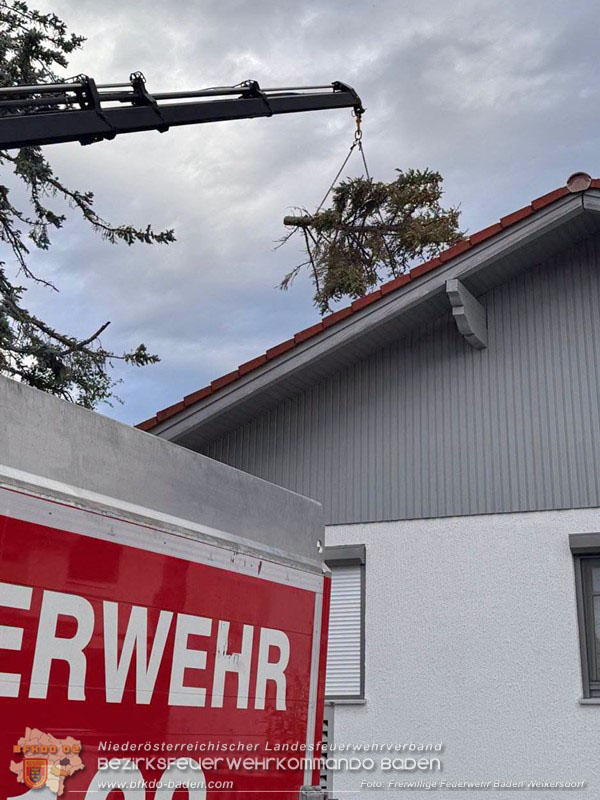 20260829_20260829_N�chtlicher Sturm sorgte f�r Feuerwehreins�tze - Foto: FF Baden Weikersdorf