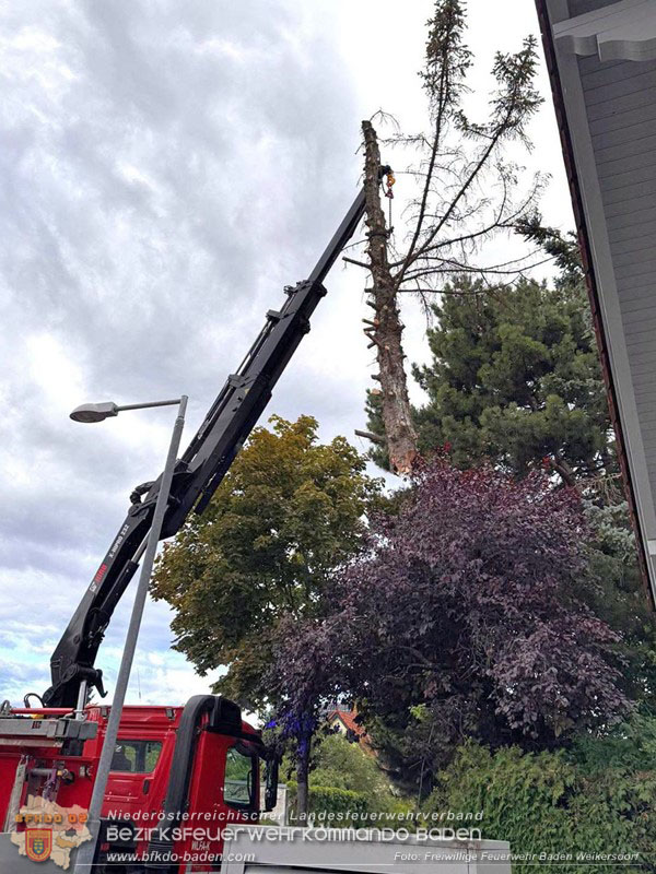 20260829_20260829_N�chtlicher Sturm sorgte f�r Feuerwehreins�tze - Foto: FF Baden Weikersdorf