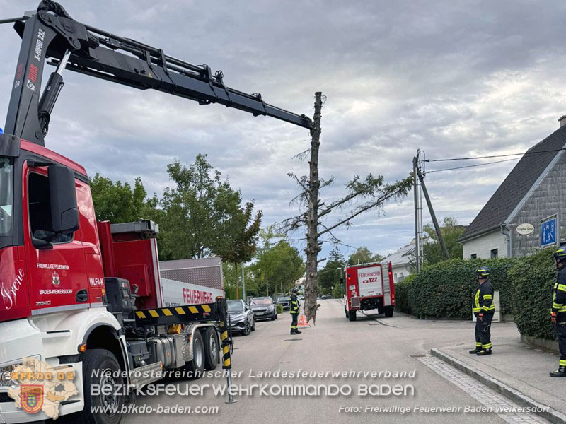 20260829_20260829_N�chtlicher Sturm sorgte f�r Feuerwehreins�tze - Foto: FF Baden Weikersdorf