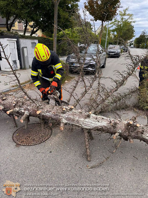 20260829_20260829_N�chtlicher Sturm sorgte f�r Feuerwehreins�tze - Foto: FF Baden Weikersdorf