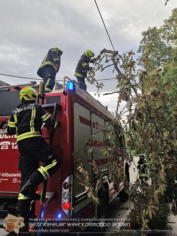 20260829_20260829_N�chtlicher Sturm sorgte f�r Feuerwehreins�tze - Foto: FF Tribuswinkel