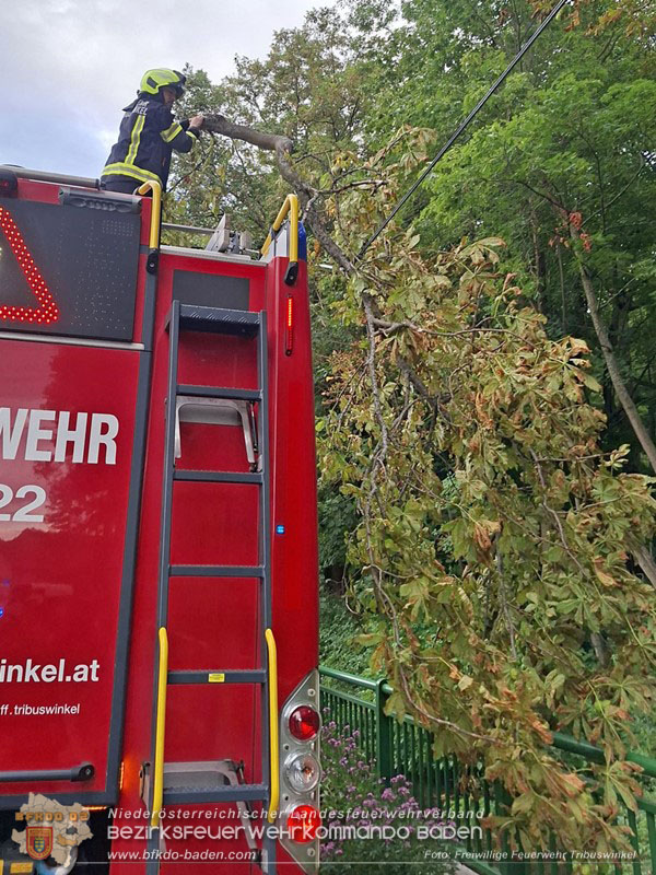 20260829_20260829_N�chtlicher Sturm sorgte f�r Feuerwehreins�tze - Foto: FF Tribuswinkel