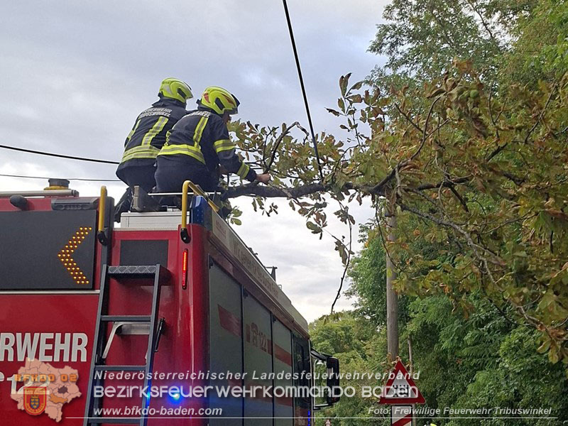 20260829_20260829_N�chtlicher Sturm sorgte f�r Feuerwehreins�tze - Foto: FF Tribuswinkel