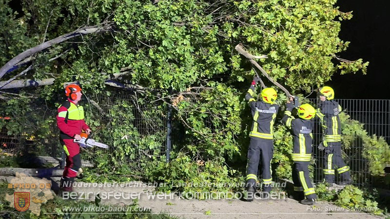 20260829_20260829_N�chtlicher Sturm sorgte f�r Feuerwehreins�tze - Foto: Stefan Schneider BFK BADEN
