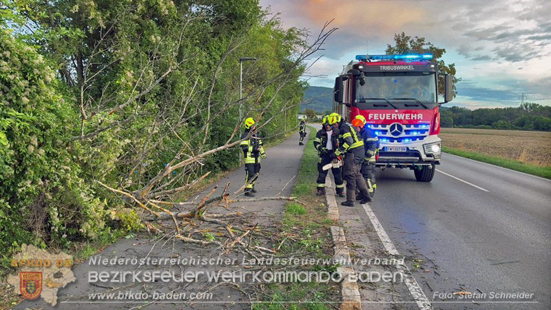 20260829_20260829_N�chtlicher Sturm sorgte f�r Feuerwehreins�tze - Foto: Stefan Schneider BFK BADEN