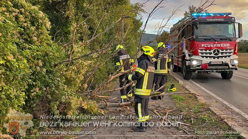20260829_20260829_N�chtlicher Sturm sorgte f�r Feuerwehreins�tze - Foto: Stefan Schneider BFK BADEN