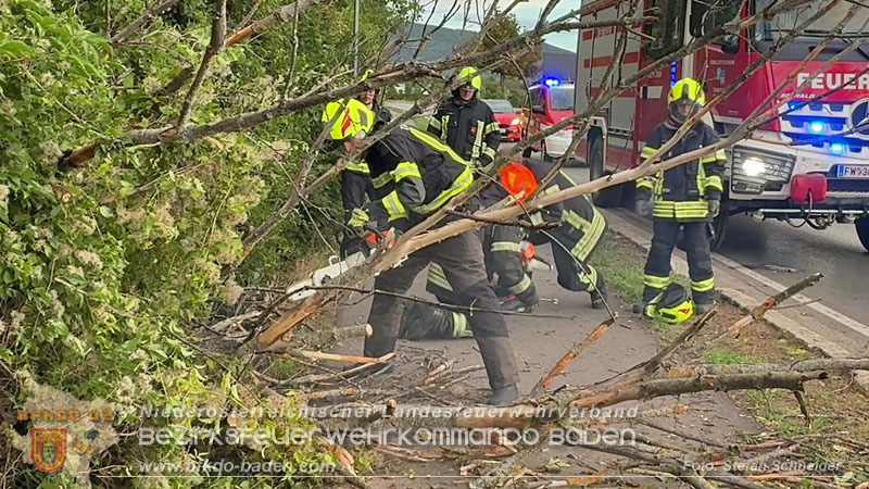 20260829_20260829_N�chtlicher Sturm sorgte f�r Feuerwehreins�tze - Foto: Stefan Schneider BFK BADEN