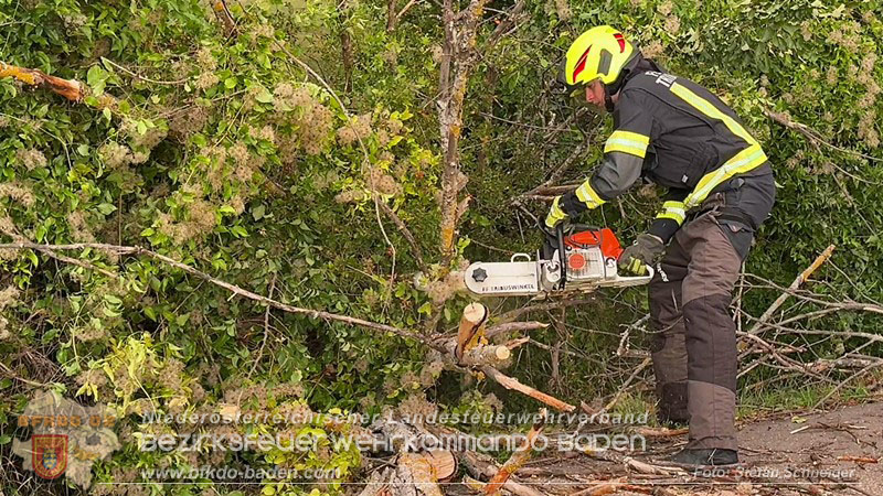 20260829_20260829_N�chtlicher Sturm sorgte f�r Feuerwehreins�tze - Foto: Stefan Schneider BFK BADEN