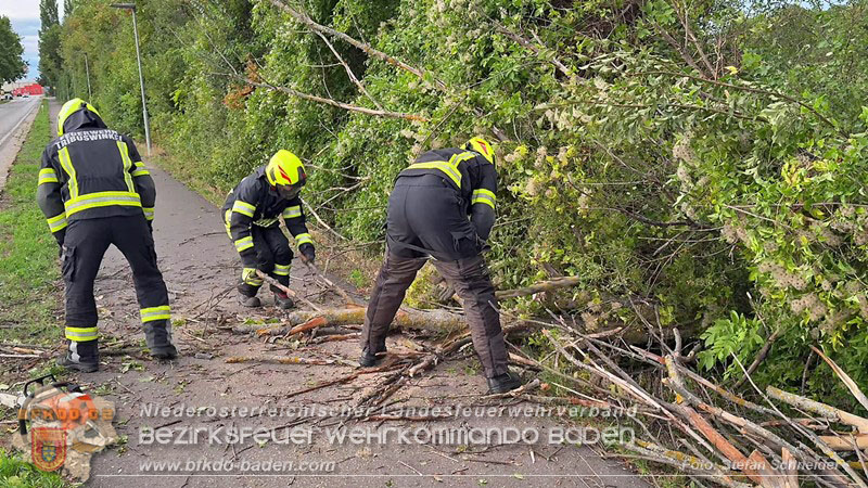 20260829_20260829_N�chtlicher Sturm sorgte f�r Feuerwehreins�tze - Foto: Stefan Schneider BFK BADEN