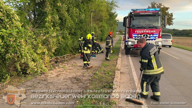 20260829_20260829_N�chtlicher Sturm sorgte f�r Feuerwehreins�tze - Foto: Stefan Schneider BFK BADEN