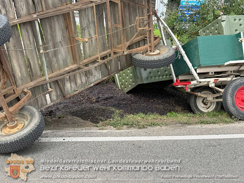 20260829_Frische Weintrauben samt Anh�nger landen im Stra�engraben Kreisverkehr B212 / L156 - Foto: FF Pfaffst�tten