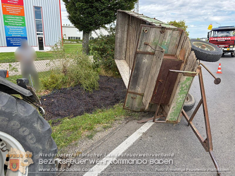 20260829_Frische Weintrauben samt Anh�nger landen im Stra�engraben Kreisverkehr B212 / L156 - Foto: FF Pfaffst�tten