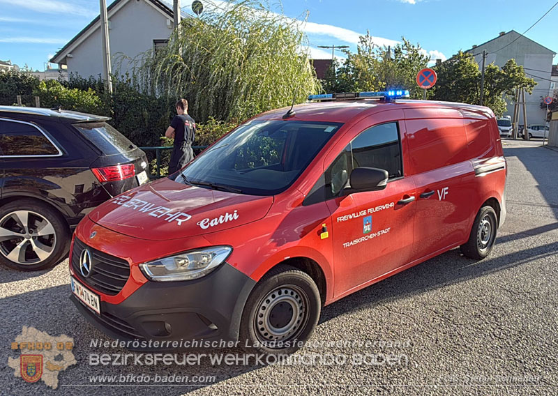 20260905_Feuerwehr rettet Fische im fast ausgetrockneten M�hlbach in Traiskirchen vor dem Erstickungstod! - Foto: Stefan Schneider BFKDO BADEN
