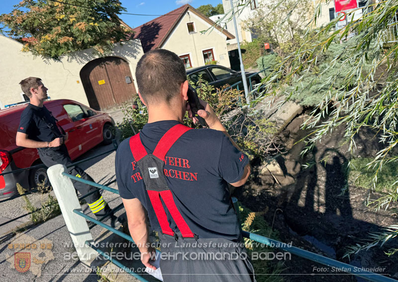 20260905_Feuerwehr rettet Fische im fast ausgetrockneten M�hlbach in Traiskirchen vor dem Erstickungstod! - Foto: Stefan Schneider BFKDO BADEN