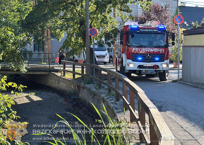20260905_Feuerwehr rettet Fische im fast ausgetrockneten M�hlbach in Traiskirchen vor dem Erstickungstod! - Foto: Stefan Schneider BFKDO BADEN