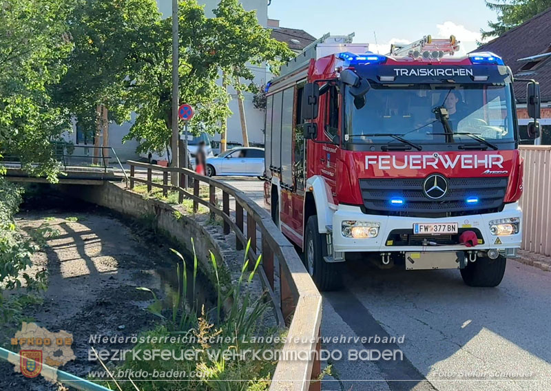 20260905_Feuerwehr rettet Fische im fast ausgetrockneten M�hlbach in Traiskirchen vor dem Erstickungstod! - Foto: Stefan Schneider BFKDO BADEN