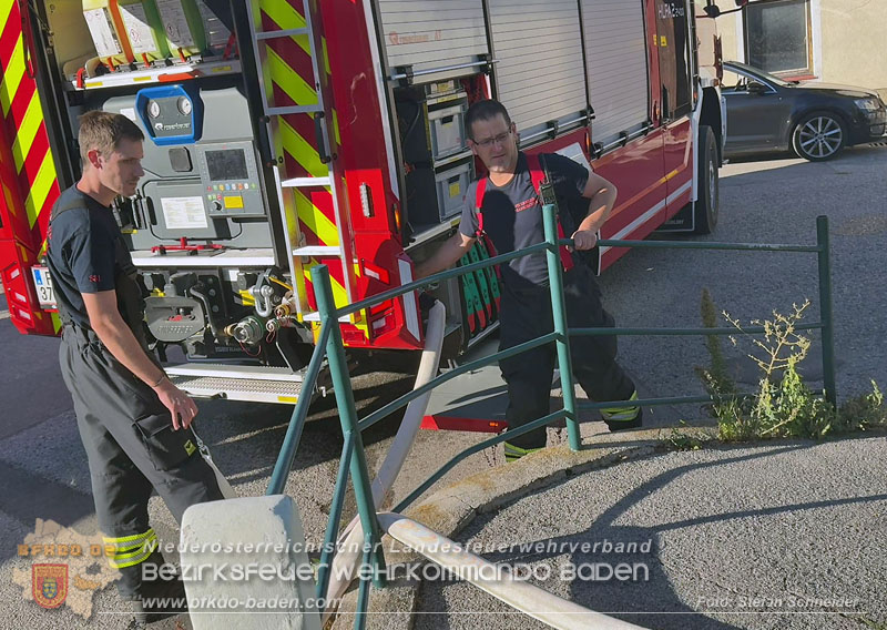 20260905_Feuerwehr rettet Fische im fast ausgetrockneten M�hlbach in Traiskirchen vor dem Erstickungstod! - Foto: Stefan Schneider BFKDO BADEN