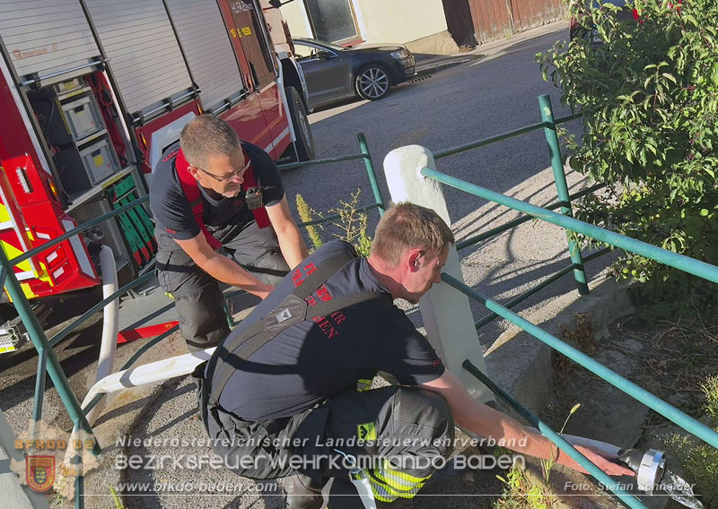 20260905_Feuerwehr rettet Fische im fast ausgetrockneten M�hlbach in Traiskirchen vor dem Erstickungstod! - Foto: Stefan Schneider BFKDO BADEN