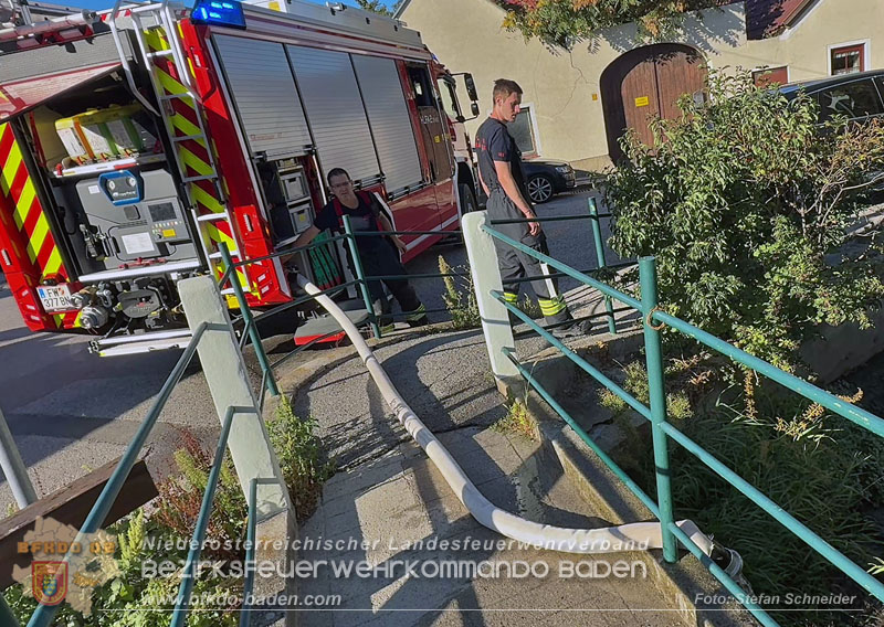 20260905_Feuerwehr rettet Fische im fast ausgetrockneten M�hlbach in Traiskirchen vor dem Erstickungstod! - Foto: Stefan Schneider BFKDO BADEN