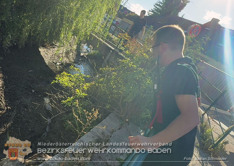 20260905_Feuerwehr rettet Fische im fast ausgetrockneten M�hlbach in Traiskirchen vor dem Erstickungstod! - Foto: Stefan Schneider BFKDO BADEN