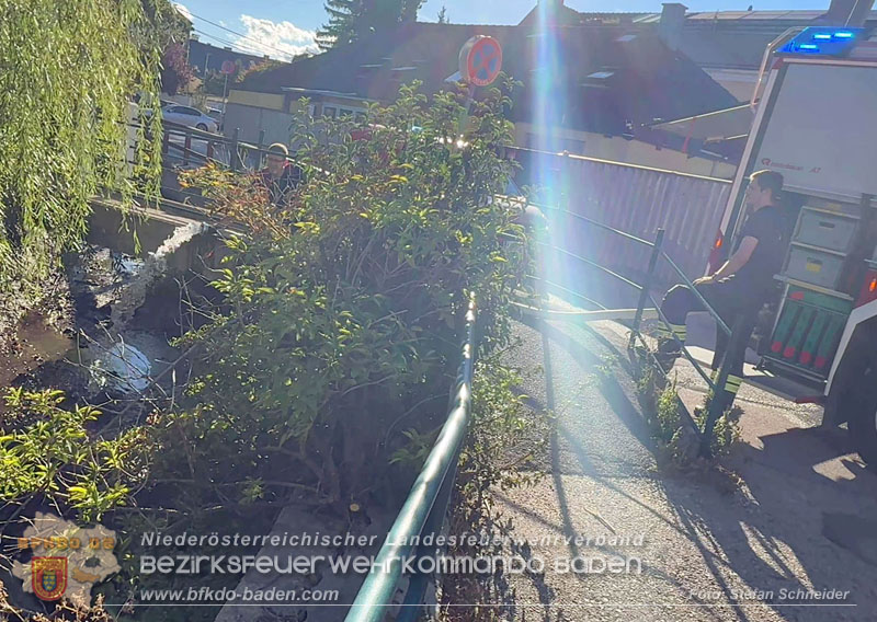 20260905_Feuerwehr rettet Fische im fast ausgetrockneten M�hlbach in Traiskirchen vor dem Erstickungstod! - Foto: Stefan Schneider BFKDO BADEN