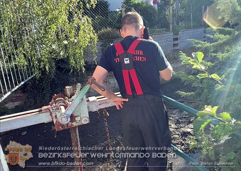 20260905_Feuerwehr rettet Fische im fast ausgetrockneten M�hlbach in Traiskirchen vor dem Erstickungstod! - Foto: Stefan Schneider BFKDO BADEN