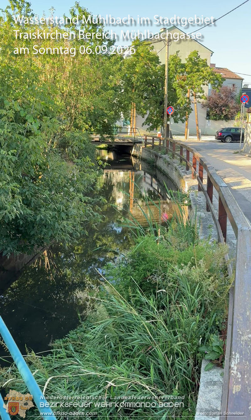 20260906_UPDATE zu Wasserstand im M�hlbach in Traiskirchen - Foto: Stefan Schneider BFKDO BADEN