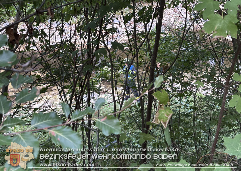 20260907_Person mit Fahrrad in Richtung Schwechat gest�rzt - Foto: FF Baden-Stadt