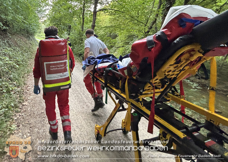 20260907_Person mit Fahrrad in Richtung Schwechat gest�rzt - Foto: FF Baden-Stadt