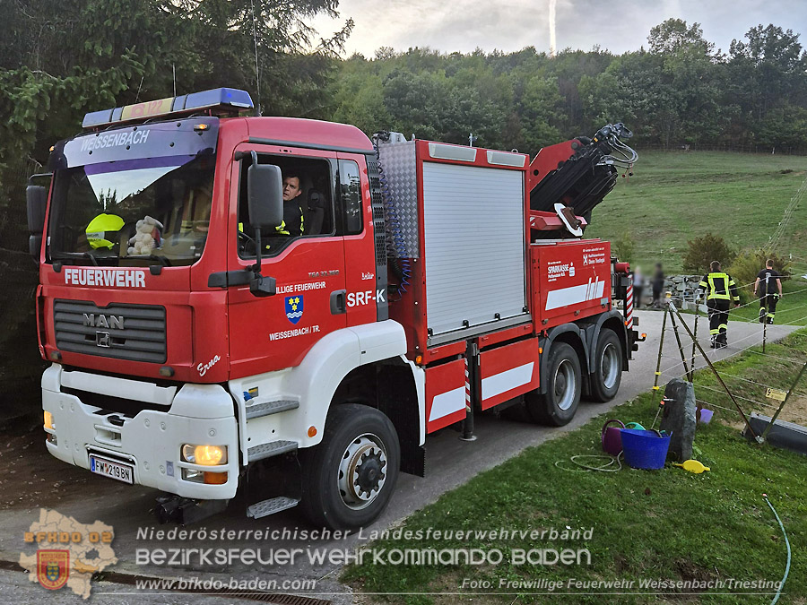 20261001_Lama kann nicht mehr aufstehen - Feuerwehr unterst�tzt mit Spezialequipment - Foto: FF Weissenbach/Triesting