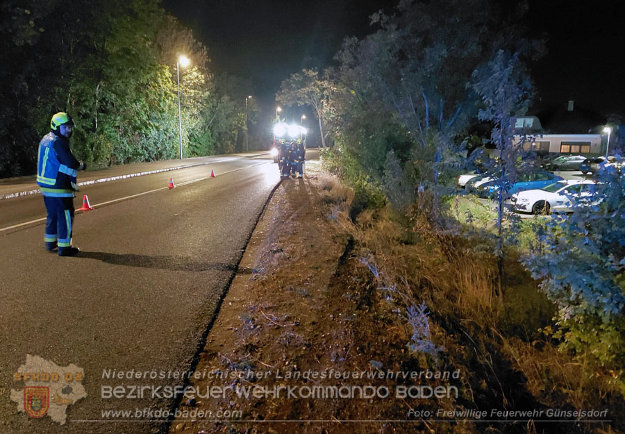 20261014_Pkw prallt gegen Baum - Foto: FF G�nselsdorf
