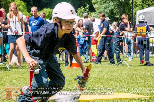 Bezirksfeuerwehrjugendleistungsbewerbe am 10. Juni 2017 im Schosspark Tribuswinkel  Foto: ASB A Daniel Wirth AFKDO Baden Land