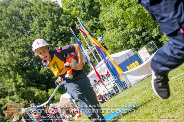 Bezirksfeuerwehrjugendleistungsbewerbe am 10. Juni 2017 im Schosspark Tribuswinkel  Foto: ASB A Daniel Wirth AFKDO Baden Land