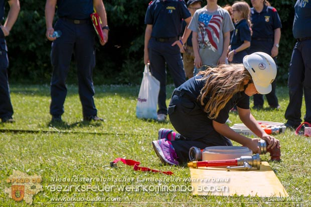 Bezirksfeuerwehrjugendleistungsbewerbe am 10. Juni 2017 im Schosspark Tribuswinkel  Foto: ASB A Daniel Wirth AFKDO Baden Land