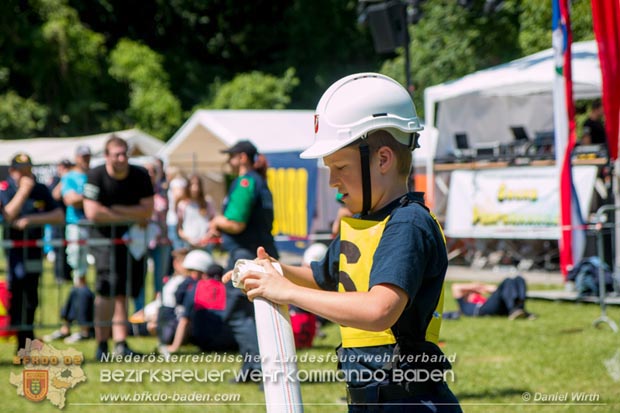 Bezirksfeuerwehrjugendleistungsbewerbe am 10. Juni 2017 im Schosspark Tribuswinkel  Foto: ASB A Daniel Wirth AFKDO Baden Land