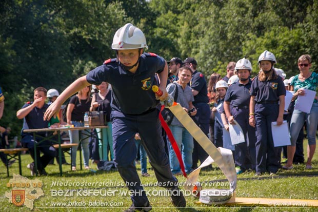 Bezirksfeuerwehrjugendleistungsbewerbe am 10. Juni 2017 im Schosspark Tribuswinkel  Foto: ASB A Daniel Wirth AFKDO Baden Land