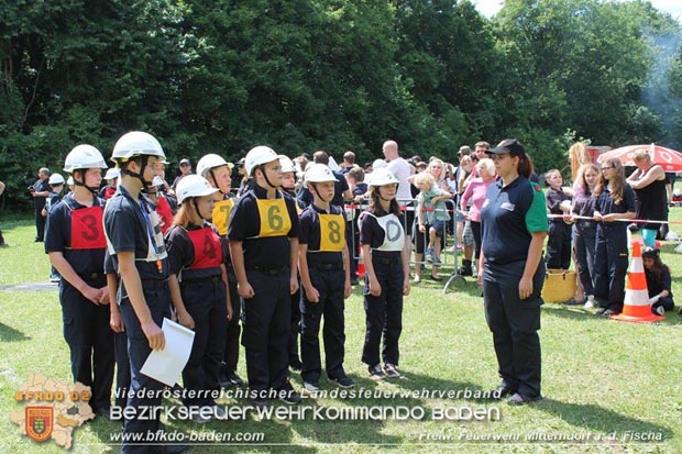 Bezirksfeuerwehrjugendleistungsbewerbe am 10. Juni 2017 im Schosspark Tribuswinkel  Foto: FF Mitterndorf a.d.Fischa