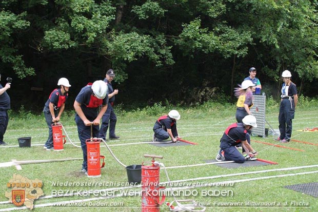 Bezirksfeuerwehrjugendleistungsbewerbe am 10. Juni 2017 im Schosspark Tribuswinkel  Foto: FF Mitterndorf a.d.Fischa