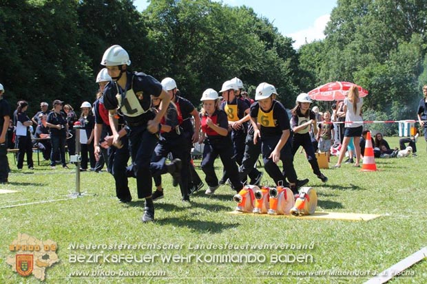 Bezirksfeuerwehrjugendleistungsbewerbe am 10. Juni 2017 im Schosspark Tribuswinkel  Foto: FF Mitterndorf a.d.Fischa