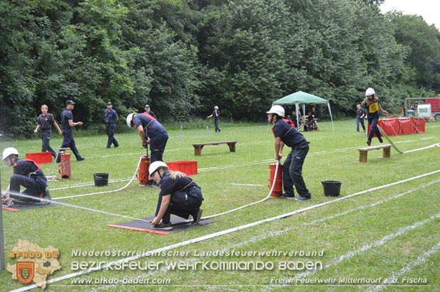 Bezirksfeuerwehrjugendleistungsbewerbe am 10. Juni 2017 im Schosspark Tribuswinkel  Foto: FF Mitterndorf a.d.Fischa