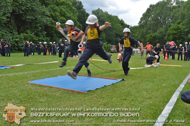 Bezirksfeuerwehrjugendleistungsbewerbe am 10. Juni 2017 im Schosspark Tribuswinkel  Foto: FF Mitterndorf a.d.Fischa