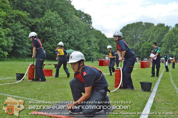 Bezirksfeuerwehrjugendleistungsbewerbe am 10. Juni 2017 im Schosspark Tribuswinkel  Foto: FF Mitterndorf a.d.Fischa