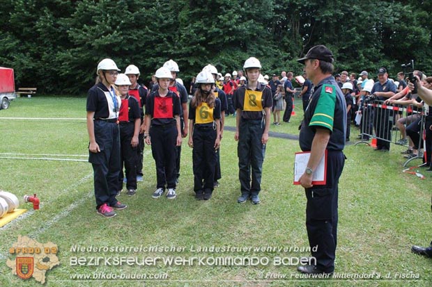 Bezirksfeuerwehrjugendleistungsbewerbe am 10. Juni 2017 im Schosspark Tribuswinkel  Foto: FF Mitterndorf a.d.Fischa