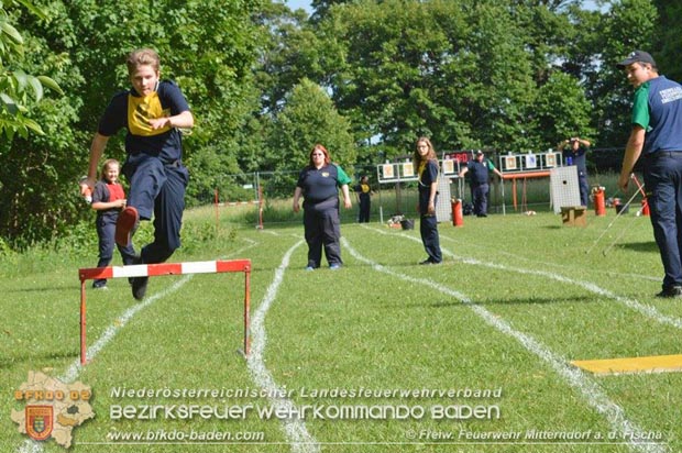 Bezirksfeuerwehrjugendleistungsbewerbe am 10. Juni 2017 im Schosspark Tribuswinkel  Foto: FF Mitterndorf a.d.Fischa