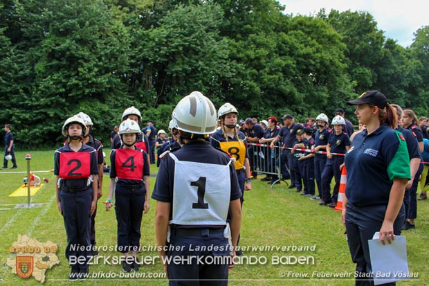 Bezirksfeuerwehrjugendleistungsbewerbe am 10. Juni 2017 im Schosspark Tribuswinkel  Foto: FF Stadt Bad Vslau