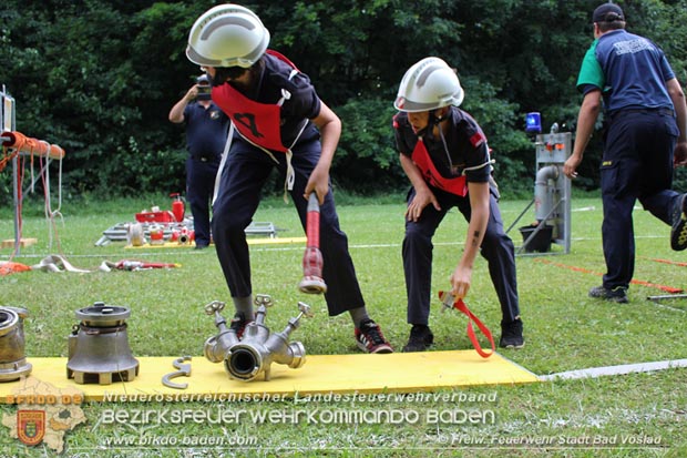 Bezirksfeuerwehrjugendleistungsbewerbe am 10. Juni 2017 im Schosspark Tribuswinkel  Foto: FF Stadt Bad Vslau