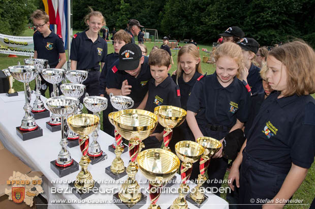 Bezirksfeuerwehrjugendleistungsbewerbe am 10. Juni 2017 im Schlosspark Tribuswinkel  Foto: Stefan Schneider BFKDO Baden