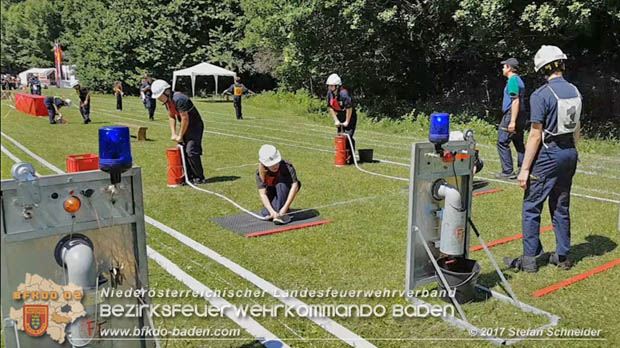 Bezirksfeuerwehrjugendleistungsbewerbe am 10. Juni 2017 im Schlosspark Tribuswinkel  Foto: Stefan Schneider BFKDO Baden